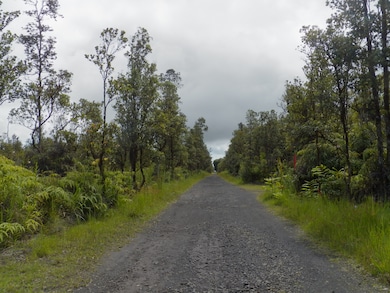 0 Naia St unit 723719, Mountain View, HI 96771 - photo 5