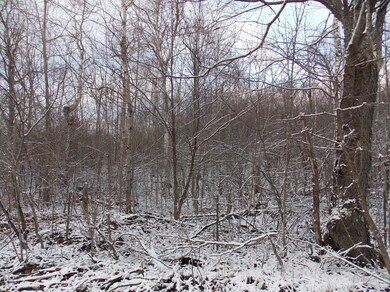 Good hunting location.