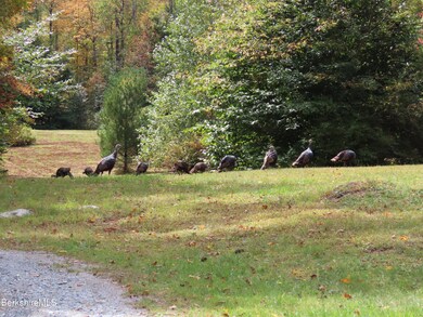 4581 Main Rd, Stamford, VT 05352 - photo 6