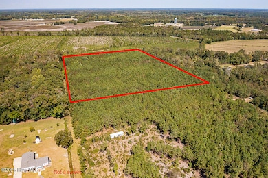 780 Campbell Rd, Vanceboro, NC 28586 - photo 6