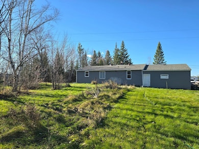 3111 Highway 332, International Falls, MN 56649 - photo 5