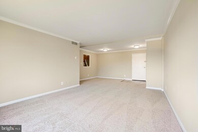 10570 Main St unit 503, Fairfax, VA 22030 - photo 5