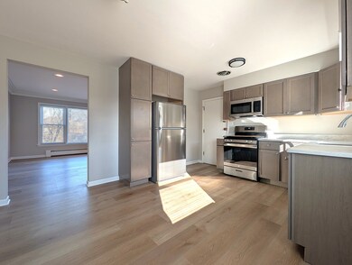 300 S Austin Blvd unit 2, Oak Park, IL 60304 - photo 4