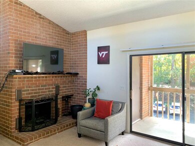 125 Turtle Creek Rd unit 9, Charlottesville, VA 22901 - photo 2