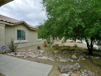Mature Landscaping