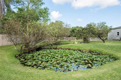 Pond in backyard.