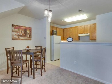 42264 Terrazzo Terrace unit 805, Stone Ridge, VA 20105 - photo 5