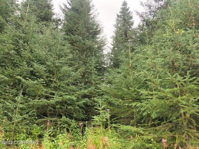 W1 Alaskan Wildwood Ranch(r), Nikolaevsk, AK 99556 - photo 7