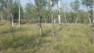 304 Old Squaw Rd, Como, CO 80432 - photo 5