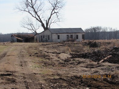 249 Orchard Rd, Elm City, NC 27822 - photo 2