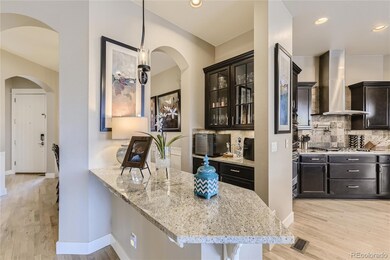 20347 E Shady Ridge Rd, Parker, CO 80134 - photo 7