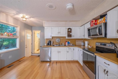 3495 Luce Rd, Flushing, MI 48433 - photo 7