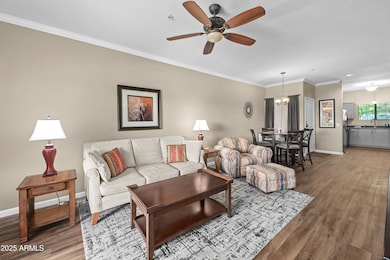 Living Room 2