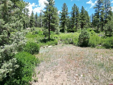 1156 Twin Buttes Ave, Durango, CO 81301 - photo 6