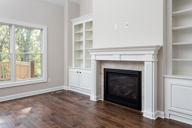 Fireplace with surround