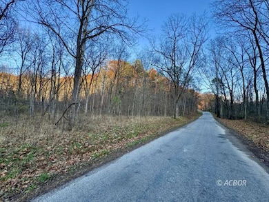 150 Lee Hollow Rd, Jackson, OH 45640 - photo 4