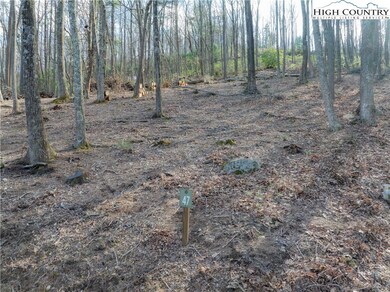 Lot 47 Wildcat Wilderness Pkwy, Deep Gap, NC 28618 - photo 6