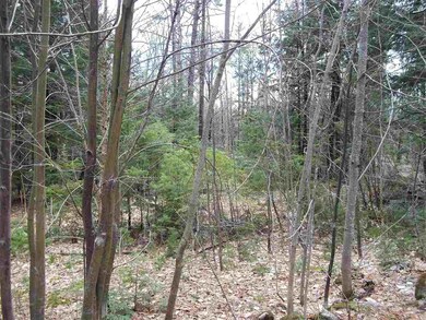 0 Robbins Hill Rd, Chatham, NH 03813 - photo 6