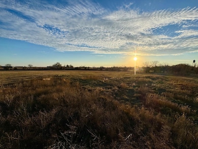 0 Lot 1 Vanderwerffs Addition, Armour, SD 57313 - photo 3