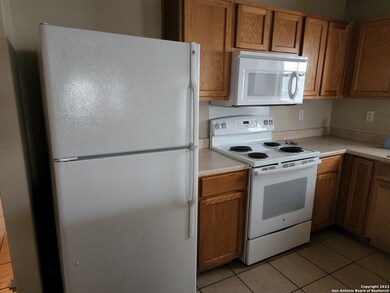 9610 Palomino Path, San Antonio, TX 78254 - photo 6