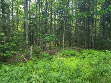 14.14B Cove Side Way, Westport Island, ME 04578 - photo 6