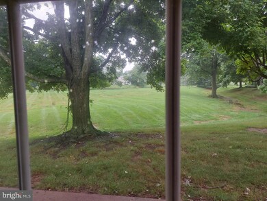 207 Barrington Ct, Palmyra, PA 17078 - photo 3