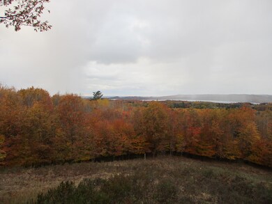 0 Valleyview Ridge unit 3 21113508, Manistee, MI 49660 - photo 2