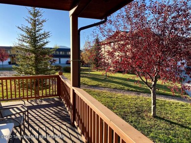 Hicks - Yard pic 2