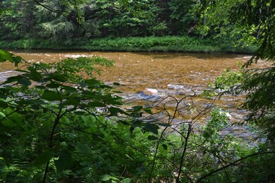 100 U S 302, Twin Mountain, NH 03595 - photo 6