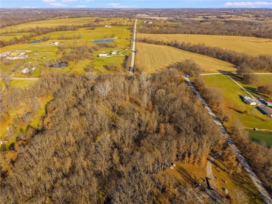 0 Wilmoth Rd, Polk Township, MO 64080 - photo 6