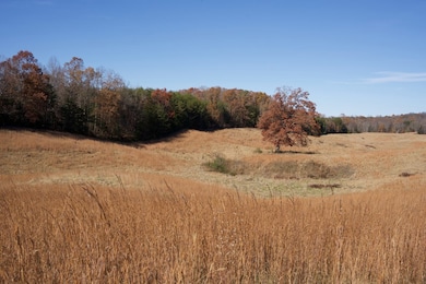 Tract 7 Barlow Rd, Rock Island, TN 38581 - photo 6