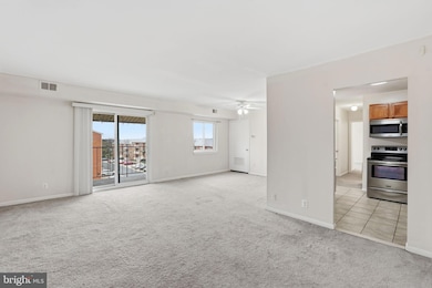 6230 Edsall Rd unit 403, Alexandria, VA 22312 - photo 5