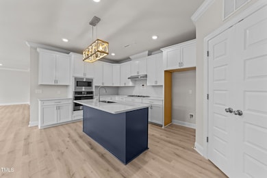 1400 Gathering Park Cir unit 202, Cary, NC 27519 - photo 4