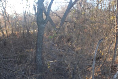 670 Wood Hollow Dr, Weatherford, TX 76087 - photo 5