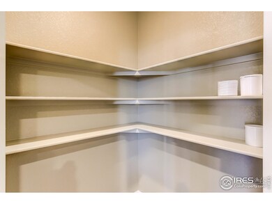 6185 Yellowtail St, Timnath, CO 80547 - photo 6