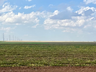 1826 County Road 1, Wilson, TX 79381 - photo 6