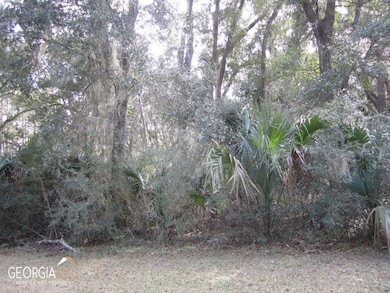 V/L 1005 Doubloon Ct, St. Marys, GA 31558 - photo 3