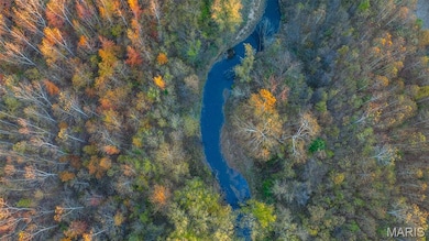 1847 Jaketown Rd, Lagrange Township, IL 62019 - photo 5