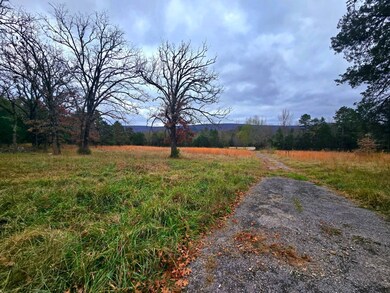 20288 State Highway 63, Hogen, OK 74939 - photo 7