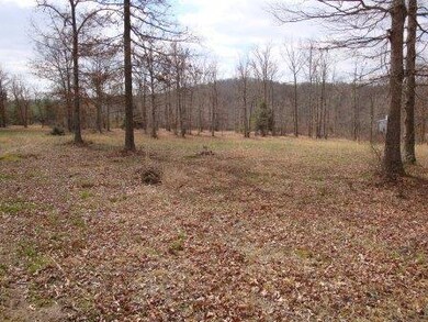 12-Woods-1-1131