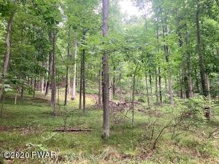 Lots 24,25 Blossom Rd, Lackawaxen Township, PA 18435 - photo 2
