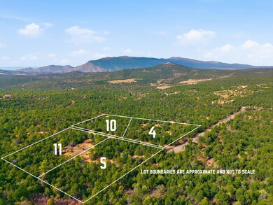 11 Hayner Ct, Tijeras, NM 87059 - photo 7