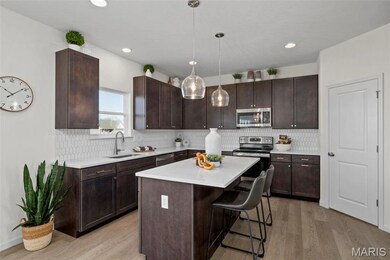 3 Royal II at Wilmer Crossing, Wentzville, MO 63385 - photo 6