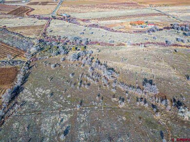 TBD NW Sage Ave, Cedaredge, CO 81413 - photo 5