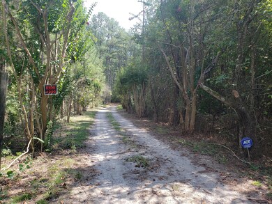 View of driveway near road