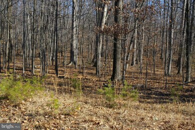 5917 Doyle Rd, Clifton, VA 20124 - photo 7