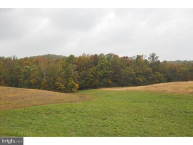 125 Sousley Rd, Lenhartsville, PA 19534 - photo 6