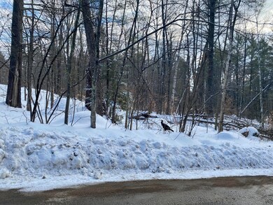 Plenty of wildlife sign!
