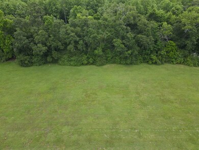 Lot # 7 Oak Bend Subdivision, Cairo, GA 39828 - photo 3