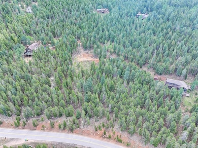 11275 Bear Run Trail, Conifer Mountain & Meadows, CO 80433 - photo 4